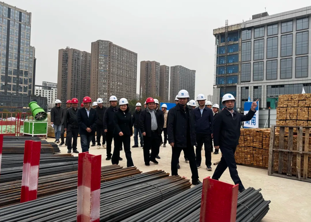 集团党委委员、副总经理罗振宇赴湖南建投·领樾府项目开展调研工作