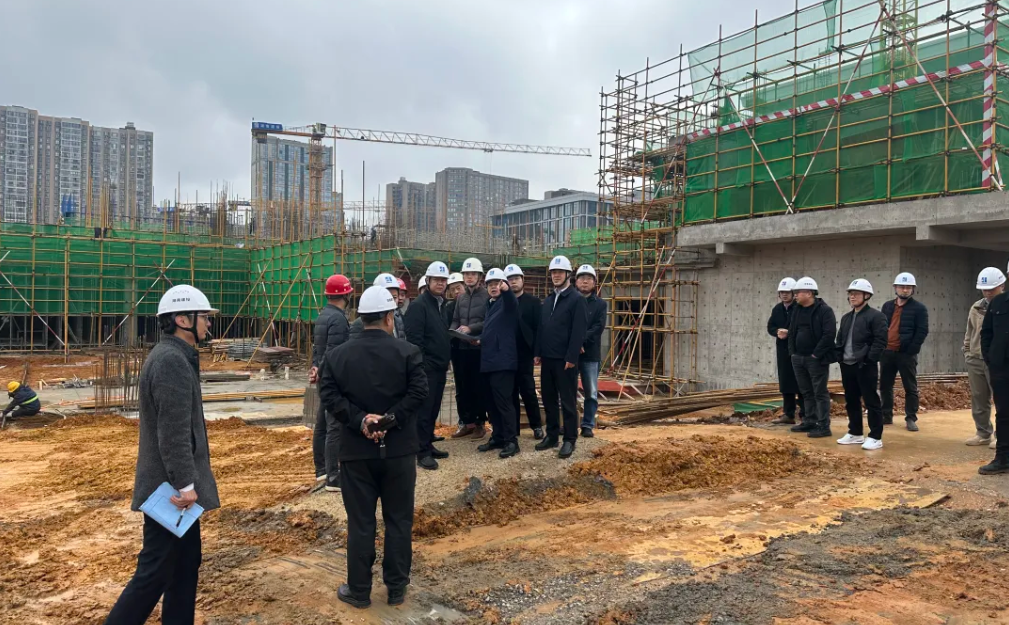 阳继承带队赴湖南建投·领樾府项目开展工作调度